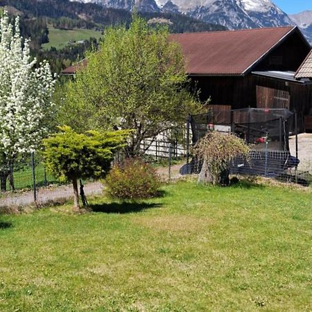 Appartement Winteraugut Werfen Eksteriør billede